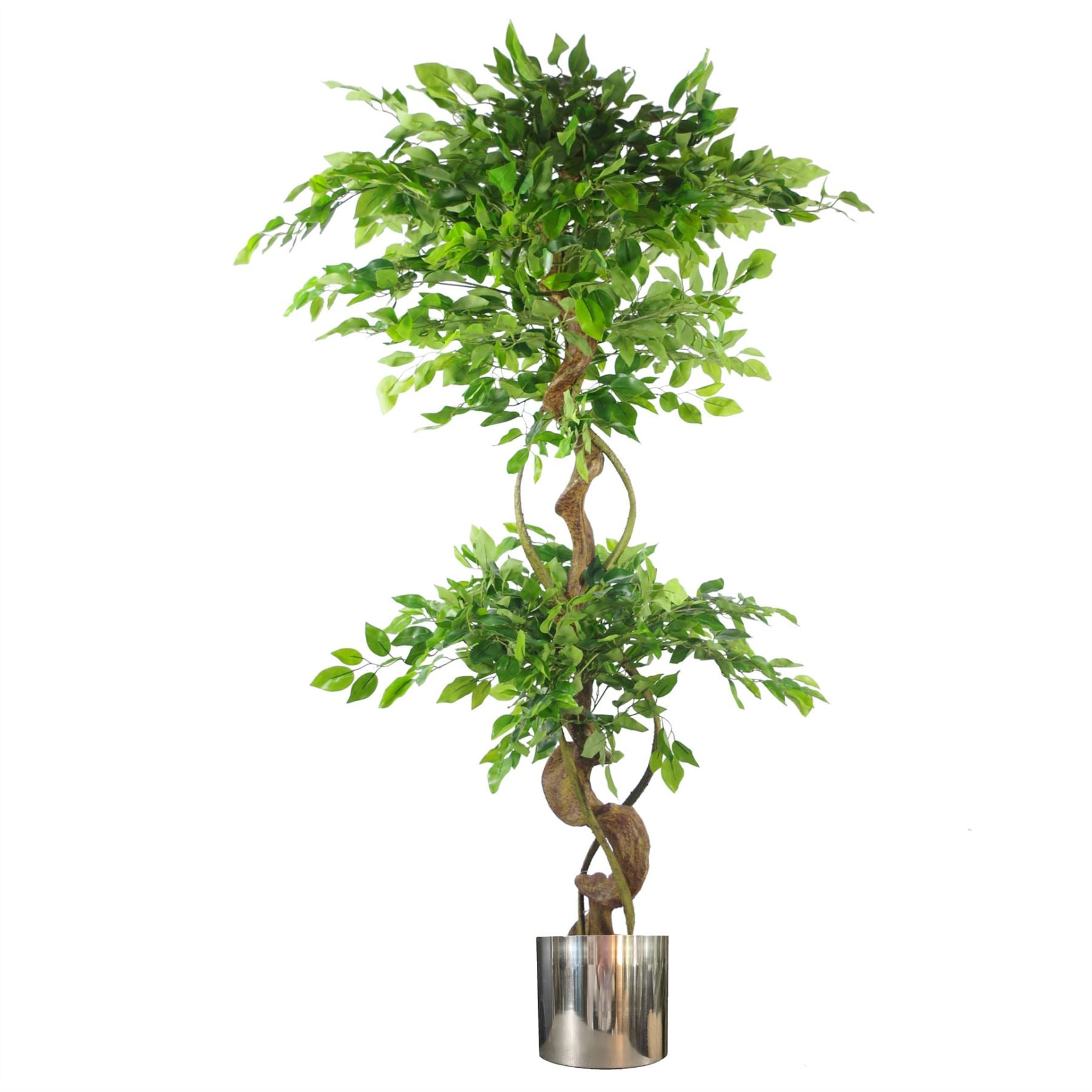 150cm Twisted Trunk Artificial Japanese Fruticosa Ficus Tree Planter