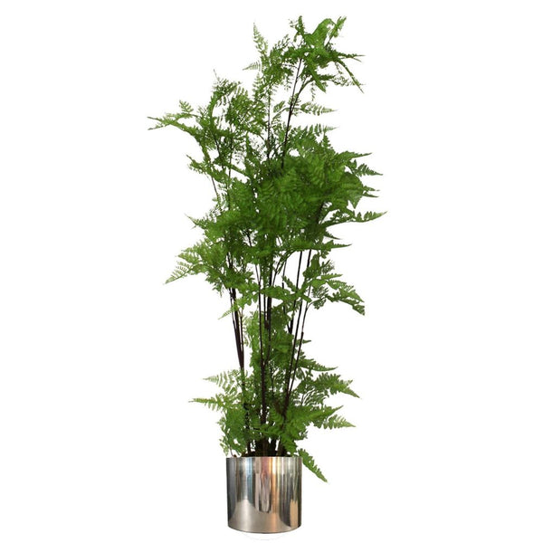  Artificial Naturaloss Base Fern Foliage Plant with Silveretal Plater
