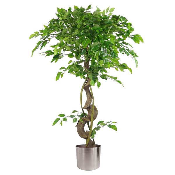  Twisted Trunk Artificial Japanese Fruticosa Style Ficus Tree