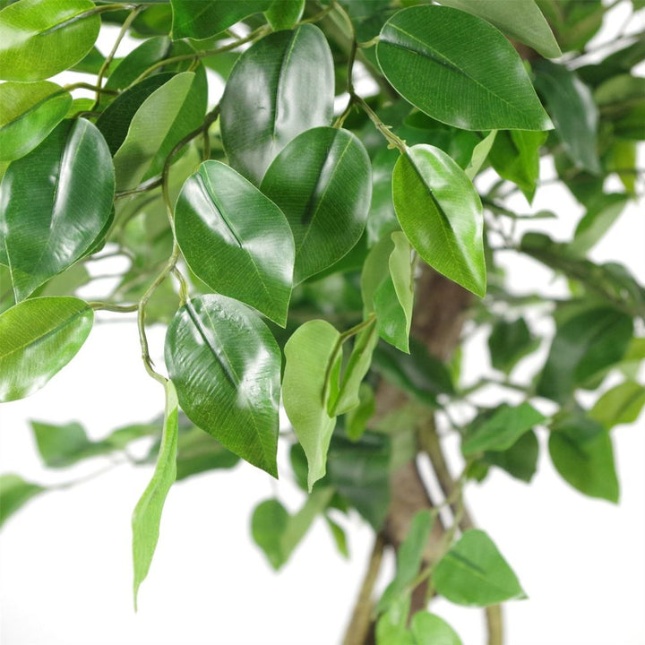  Twisted Trunk Artificial Japanese Fruticosa Style Ficus Tree