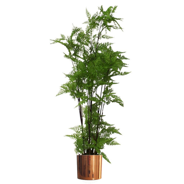  Artificial Naturaloss Base Fern Foliage Plant with Copperetal Plater