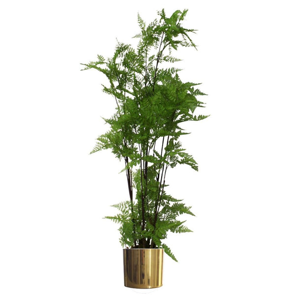  Artificial Naturaloss Base Fern Foliage Plant with Goldetal Planter